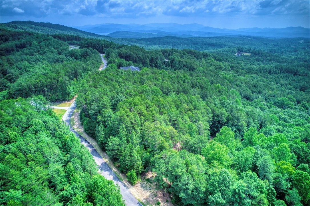 Lot S-27 Tamassee Ridge Way Salem, SC 29676 - Photo 7 of 21