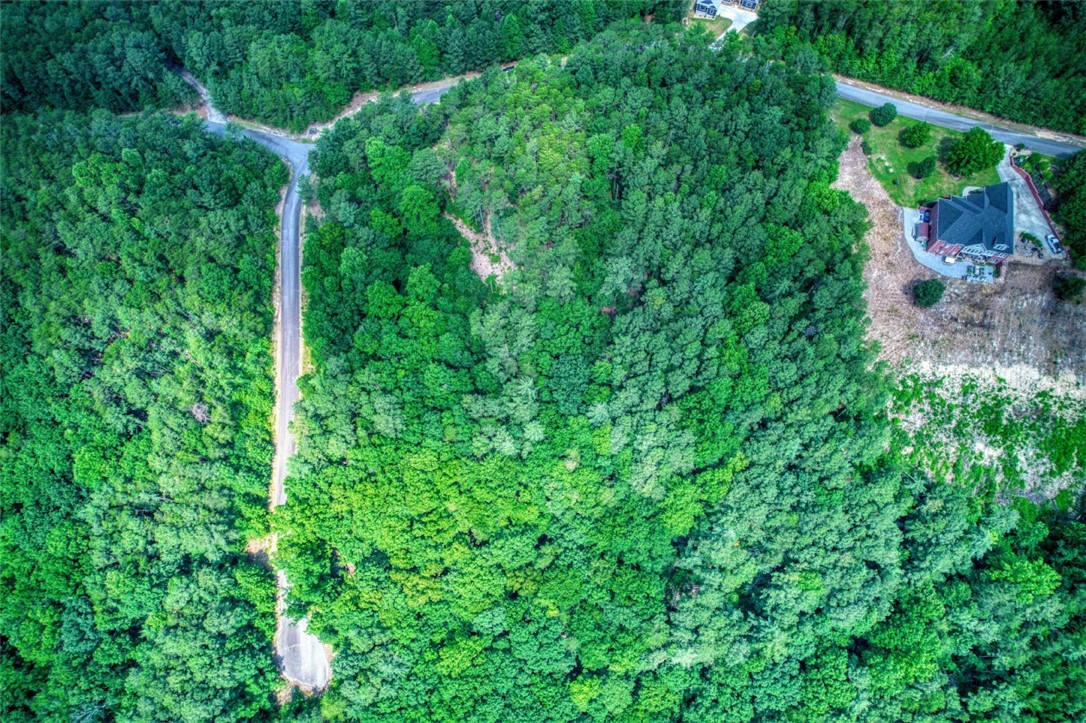 Lot S-27 Tamassee Ridge Way Salem, SC 29676 - Photo 8 of 21