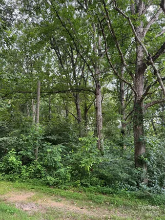 a view of a park with large trees