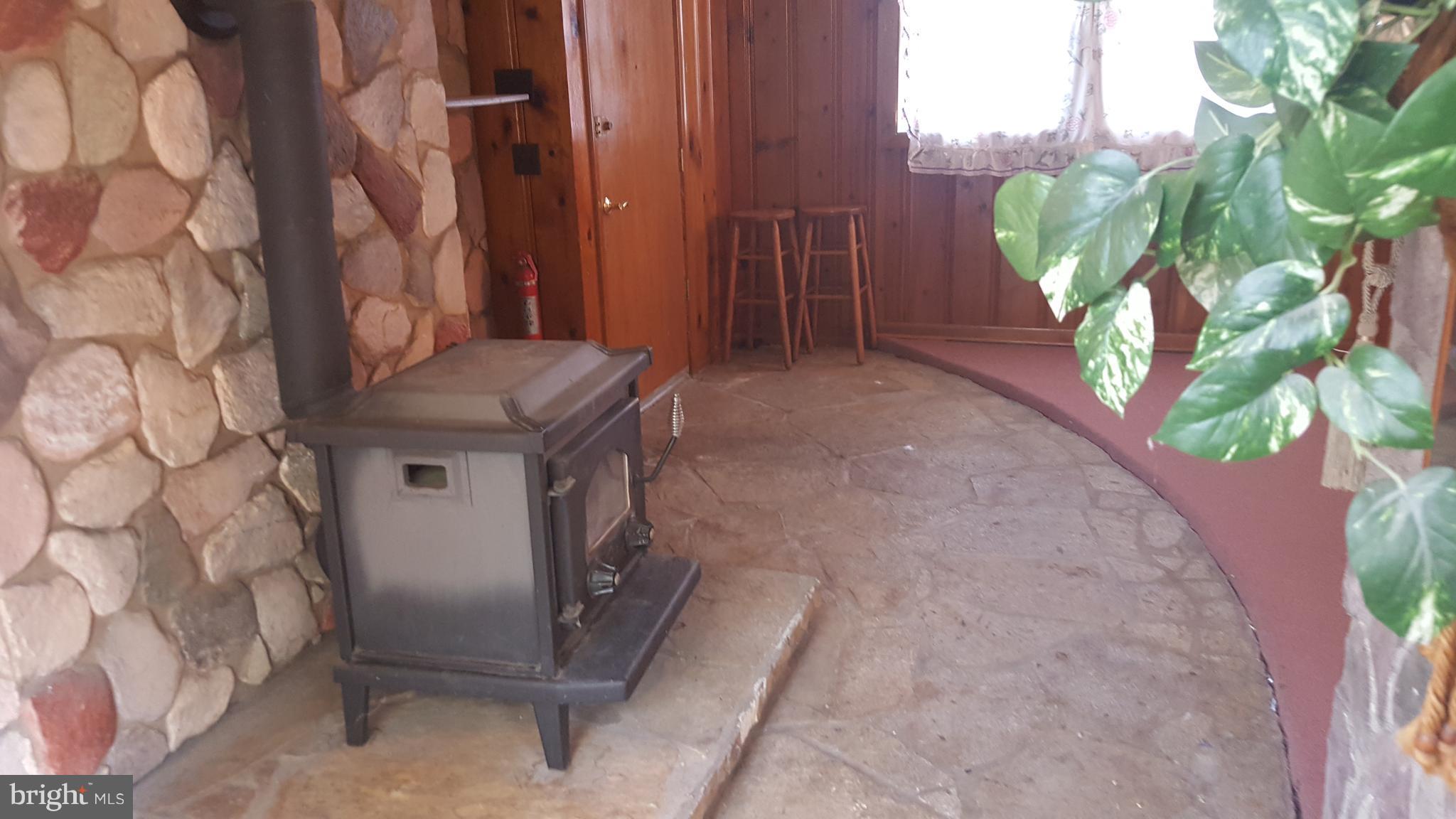 1117 Orems Road Baltimore, MD 21220 - Photo 8 of 30 Cozy Pellet Stove