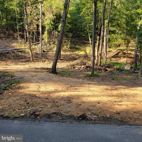 a view of a yard with a trees