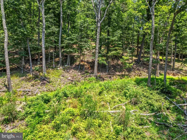 a garden view with a sitting space
