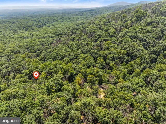 a view of a lush green field