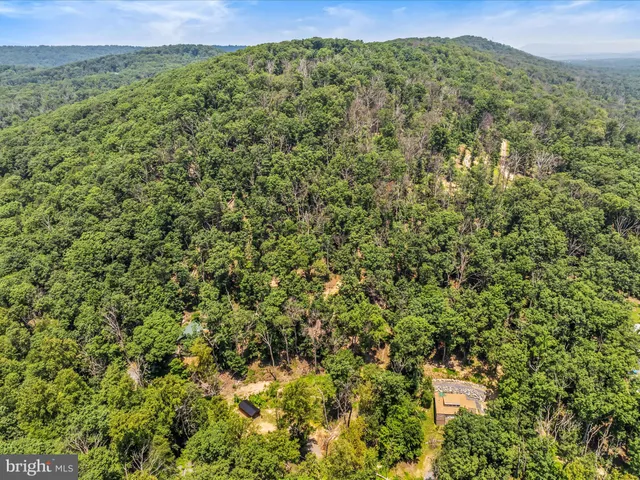 a view of a lush green field with a mountain in the background