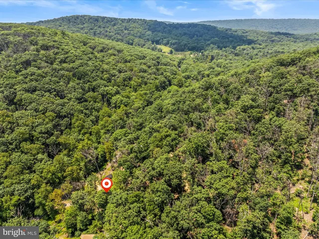 a view of a lush green forest with trees and houses
