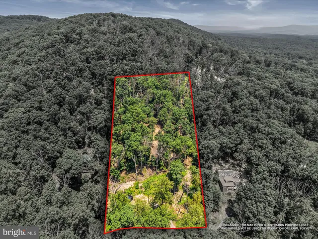 a view of a garden with an outdoor space