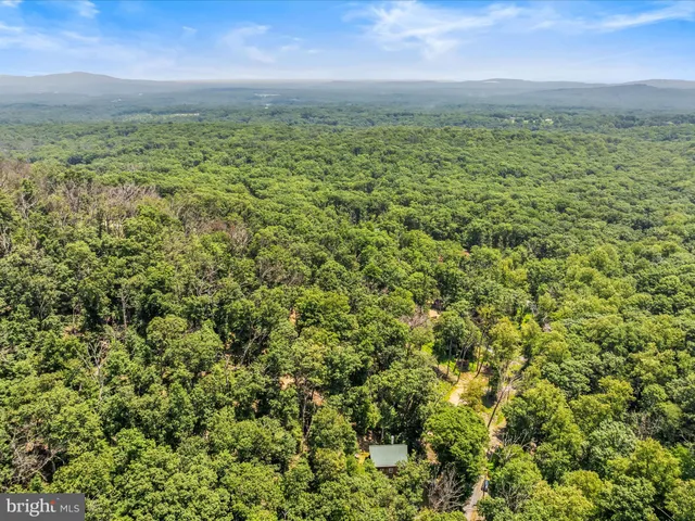 a view of a field with an ocean