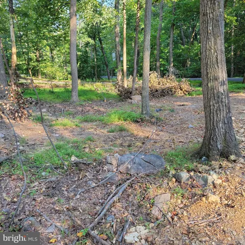 a view of a yard with a tree and a park