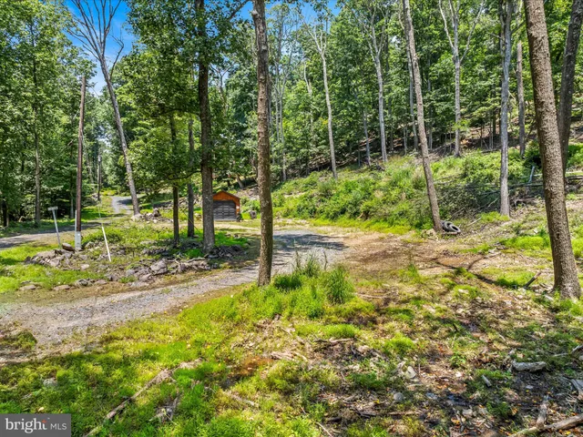 a view of a garden with pathway