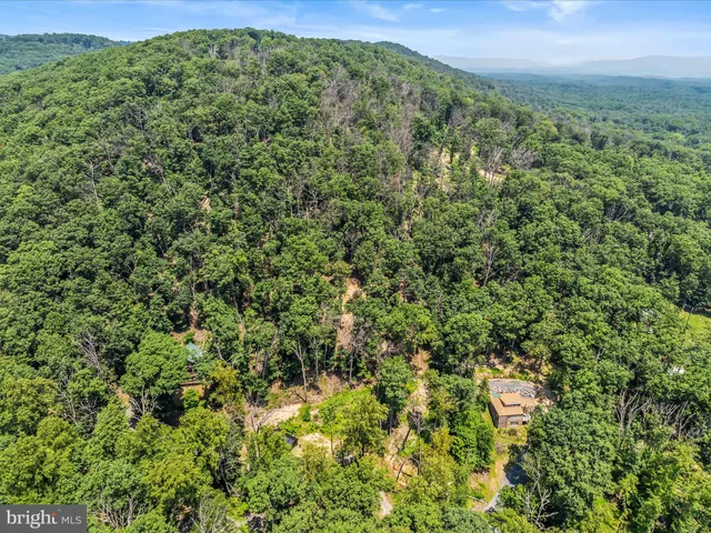 a view of a large yard with lots of bushes