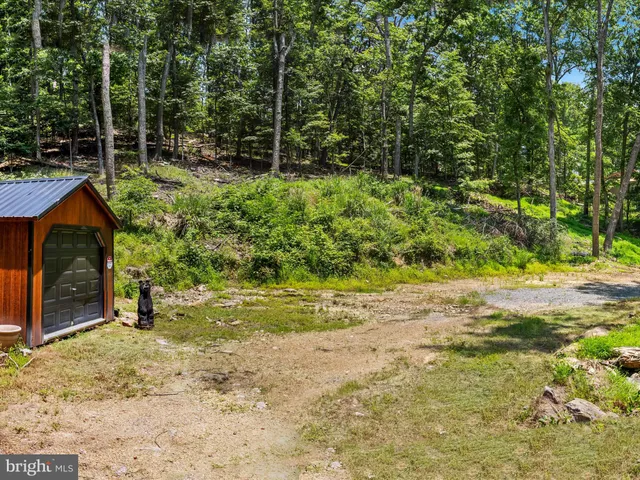 a view of backyard with green space