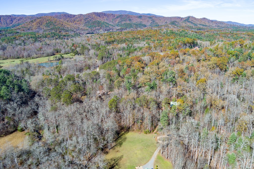 0 Pine Grove Blue Ridge, GA 30513 - Photo 10 of 23 Gallery Image 10