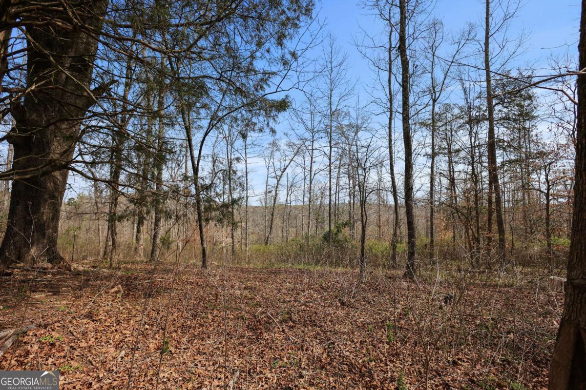 0 Winford Smith Road, Unit 5 Athens, GA 30607 - Photo 6 of 19