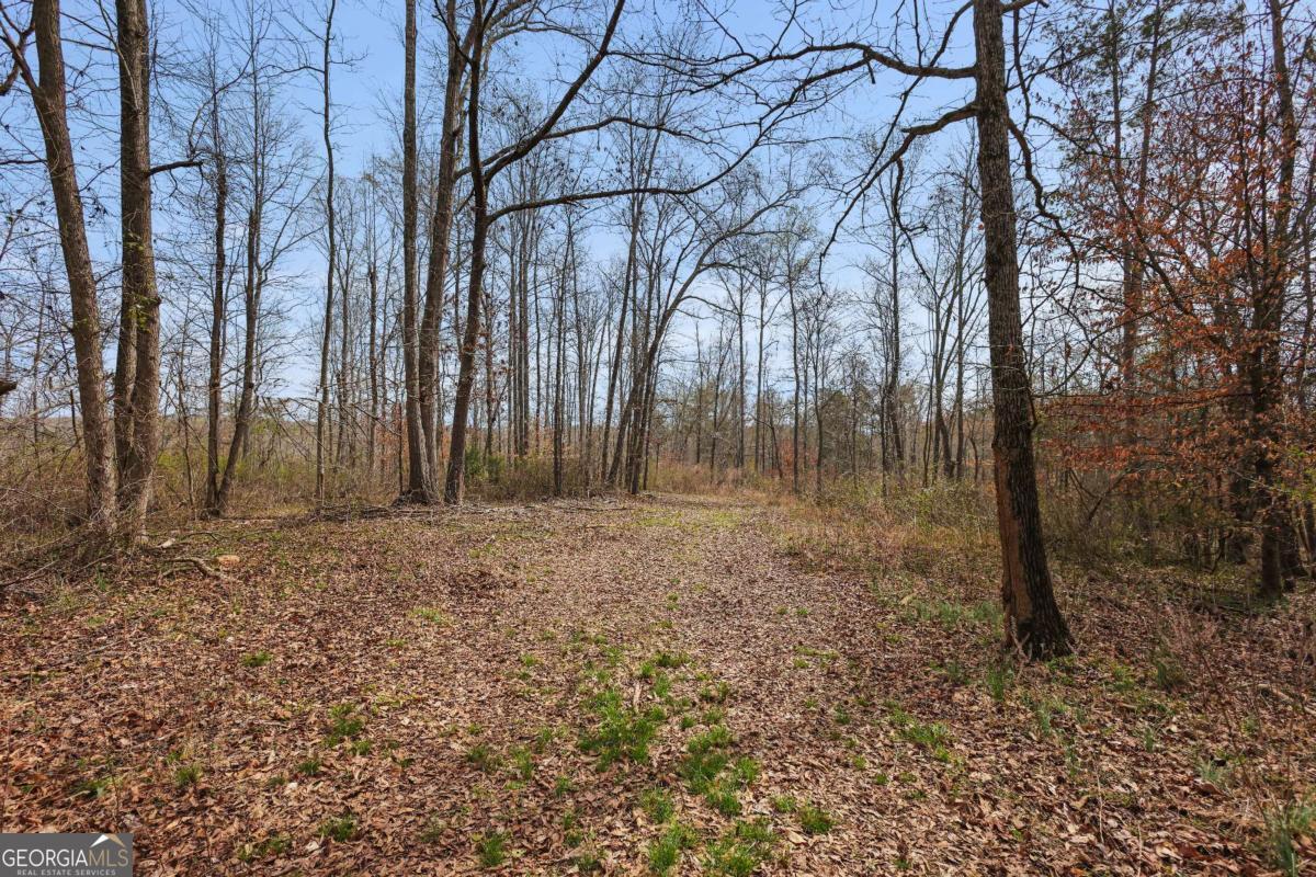 0 Winford Smith Road, Unit 5 Athens, GA 30607 - Photo 7 of 19