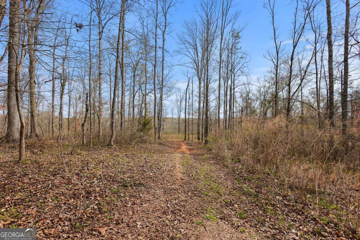 0 Winford Smith Road, Unit 5 Athens, GA 30607 - Photo 8 of 19