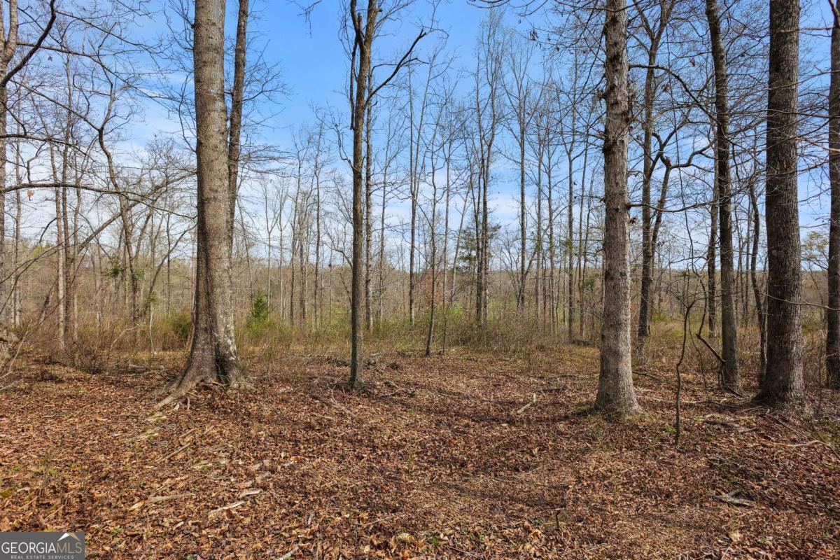 0 Winford Smith Road, Unit 5 Athens, GA 30607 - Photo 9 of 19