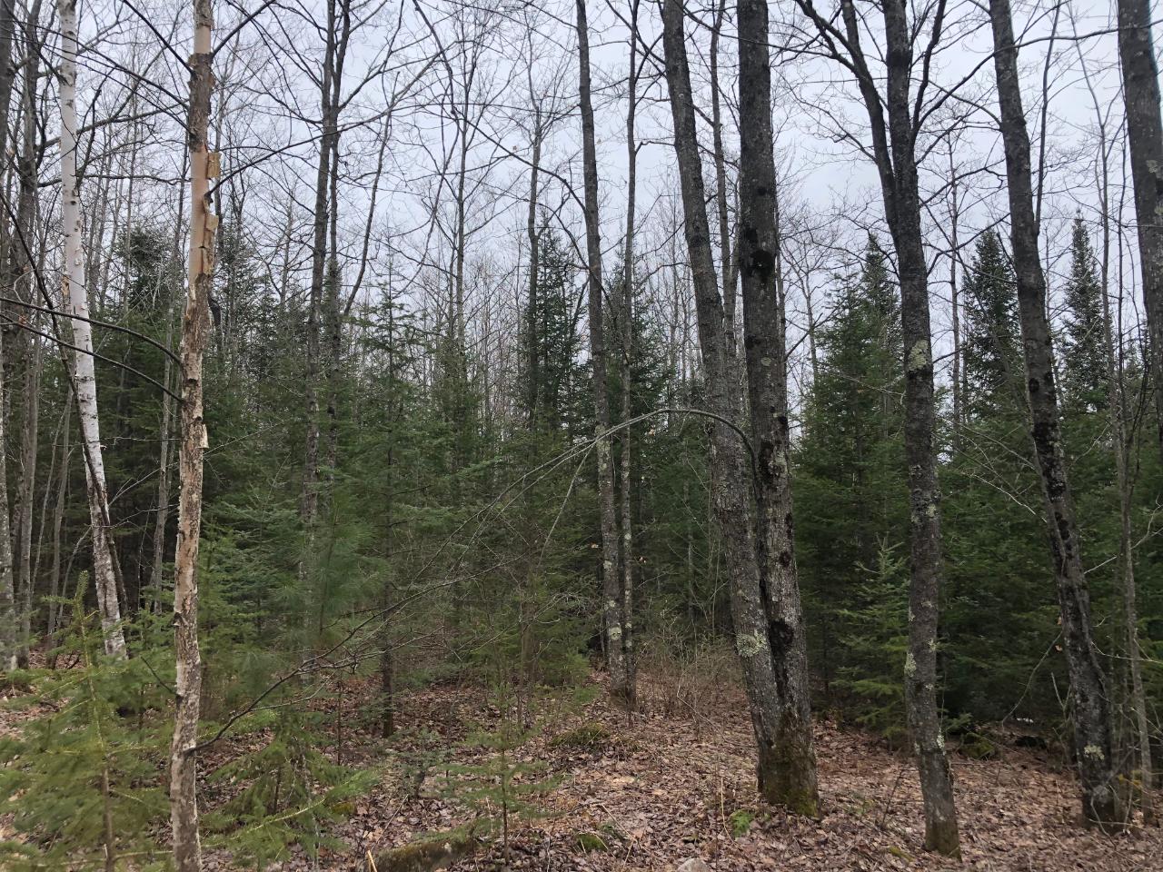 8 South Rd Crandon Wi 54520 Road Crandon, WI 54520 - Photo 25 of 38 Gallery Image 25