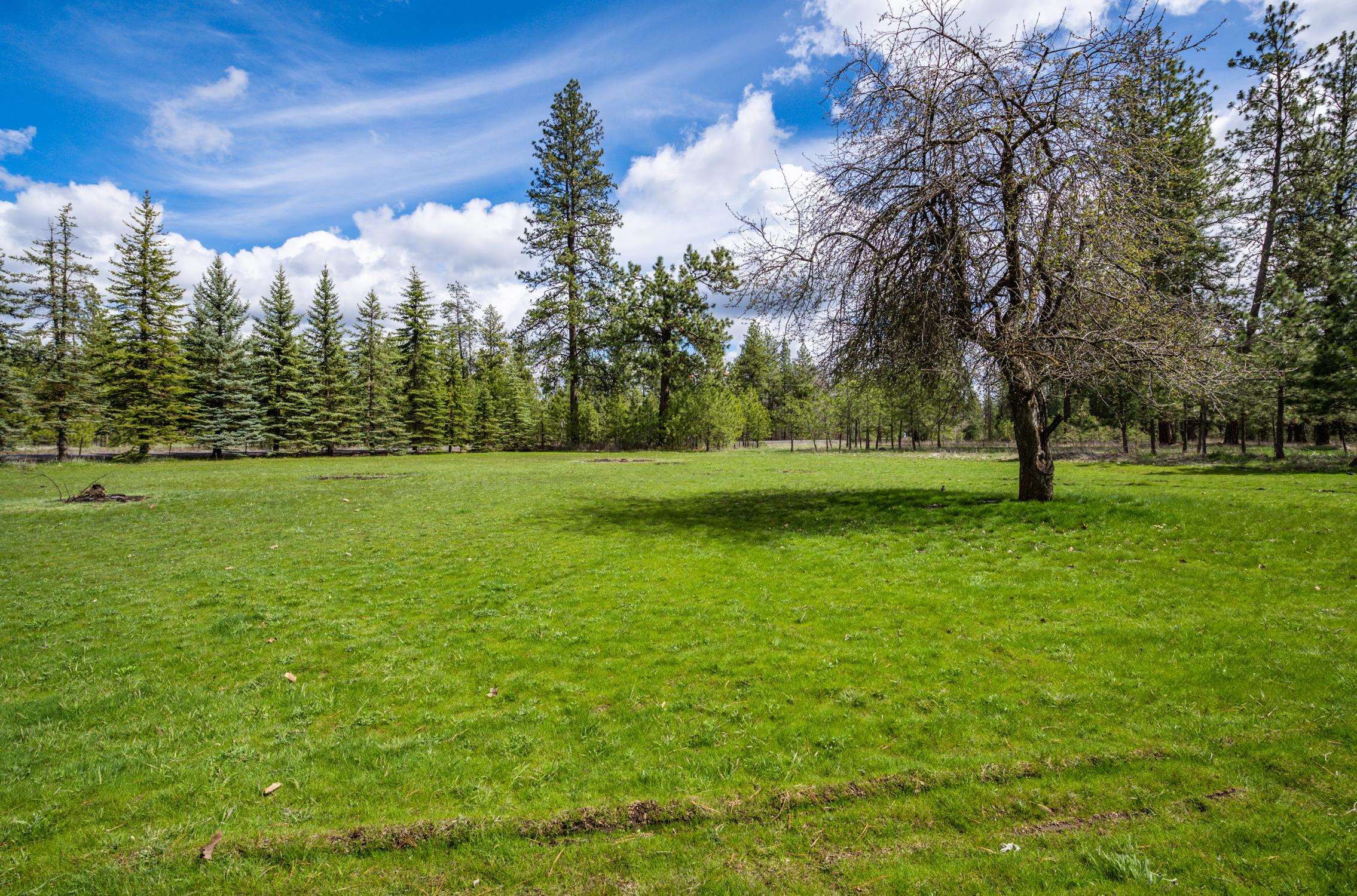 1501 West Smythe Road Spokane, WA 99224 - Photo 5 of 49 Gallery Image 5