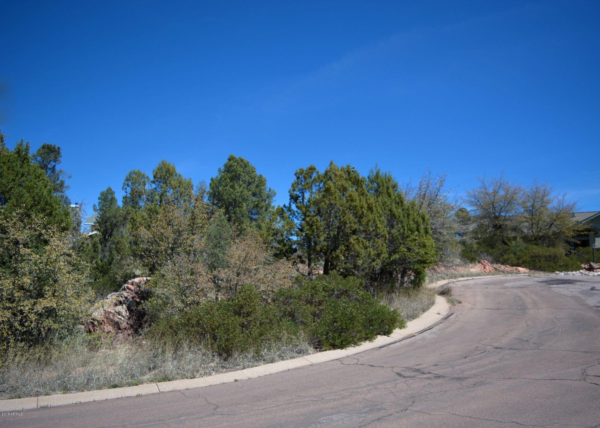 602 East Reno Ridge Circle, Unit 156 Payson, AZ 85541 - Photo 9 of 11 pic 1