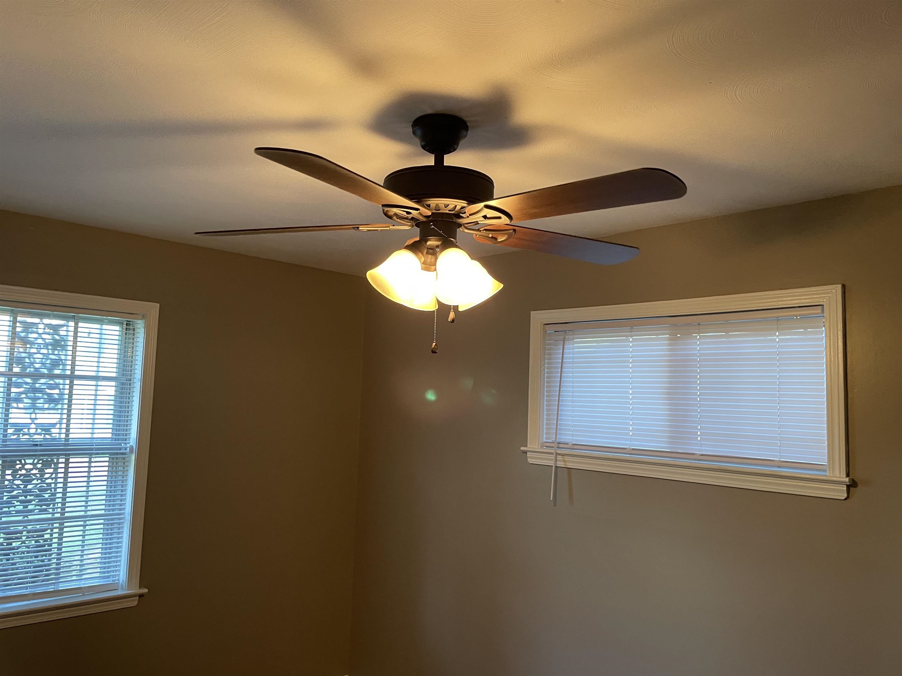 4615 Berta Road Memphis, TN 38109 - Photo 10 of 19 a light fixture a chandelier fan and windows