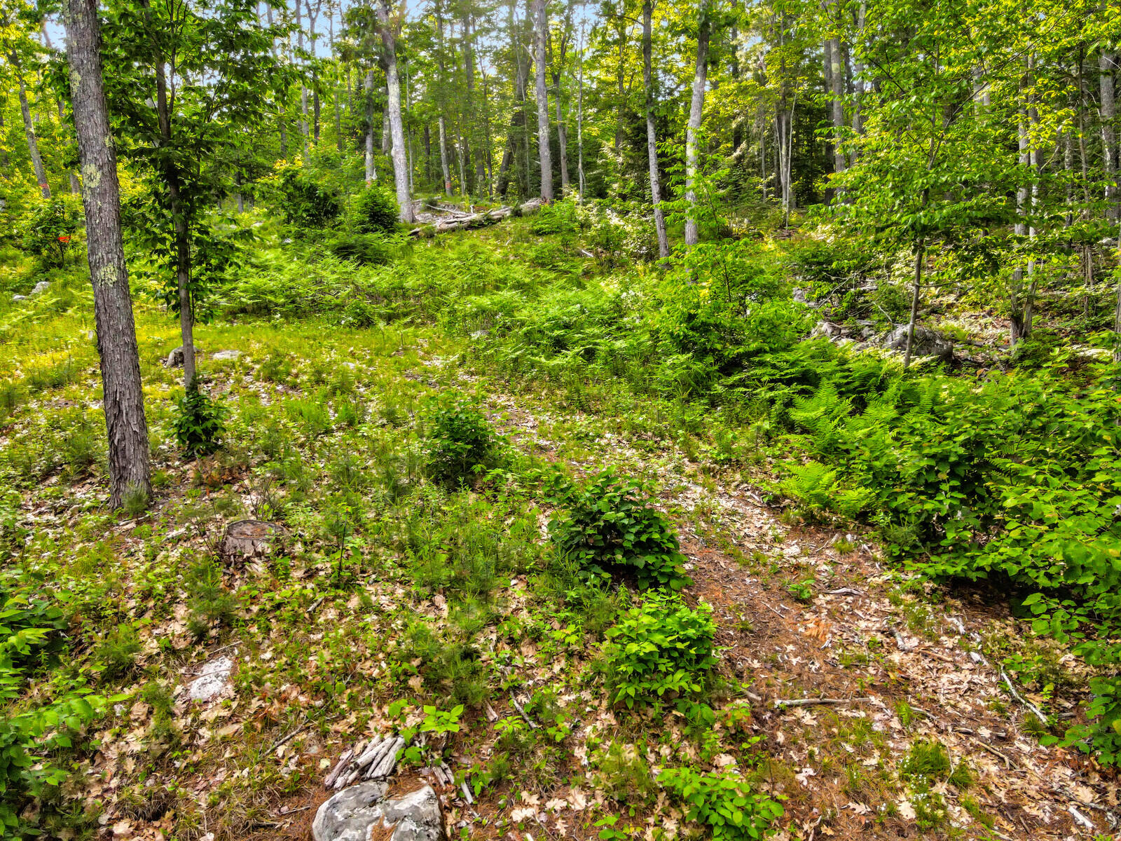 977 Alna Road Alna, ME 04535 - Photo 19 of 25 17_DJI_0733_DxO_mls