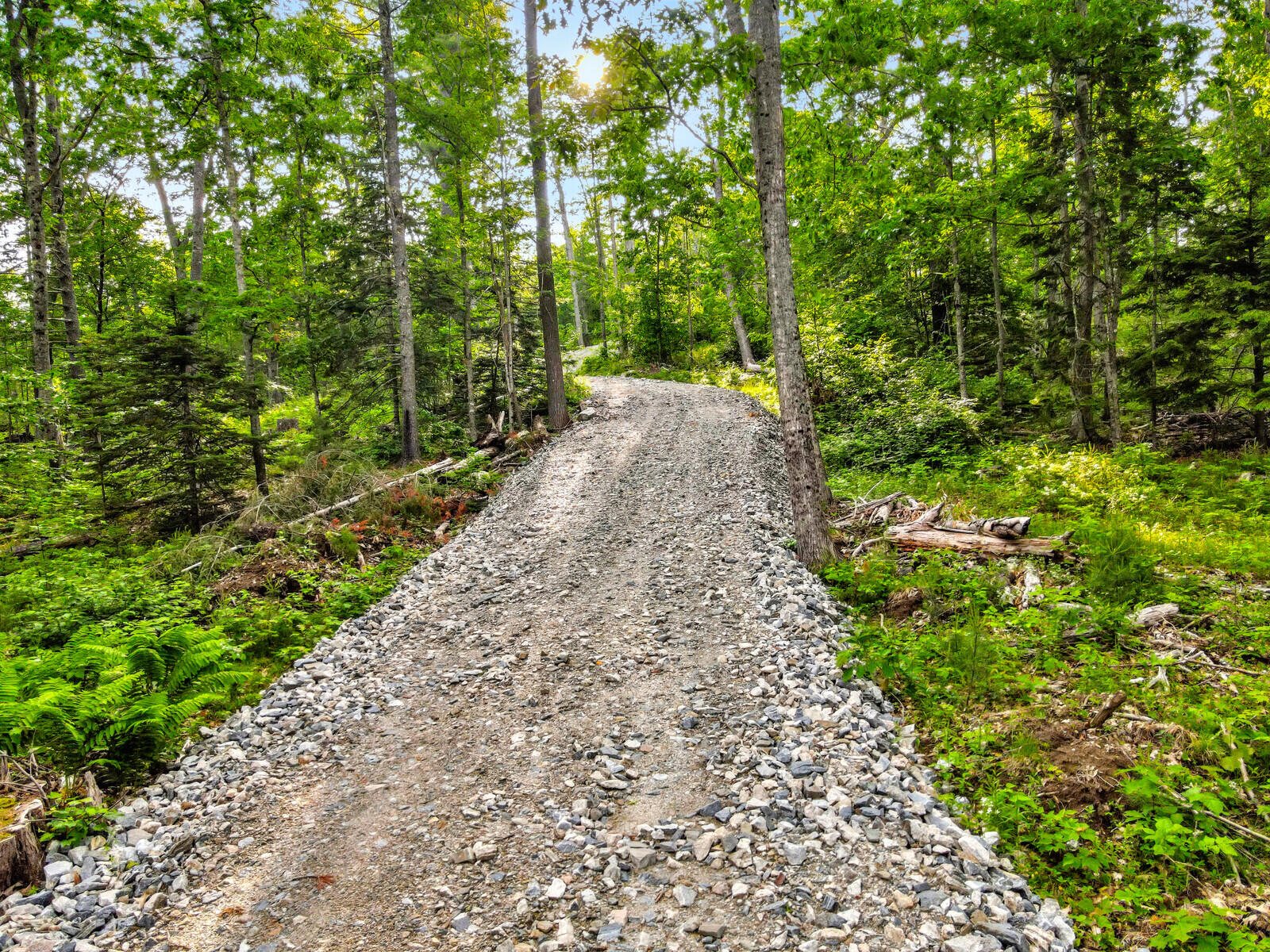977 Alna Road Alna, ME 04535 - Photo 6 of 25 18_DJI_0737_DxO_mls