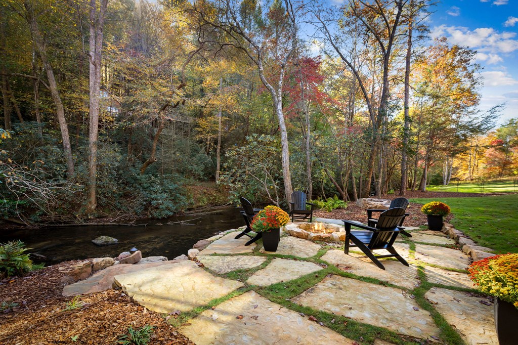 156 Horatio Drive Blue Ridge, GA 30513 - Photo 3 of 98