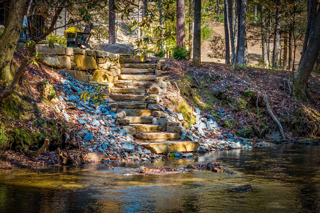 156 Horatio Drive Blue Ridge, GA 30513 - Photo 4 of 98