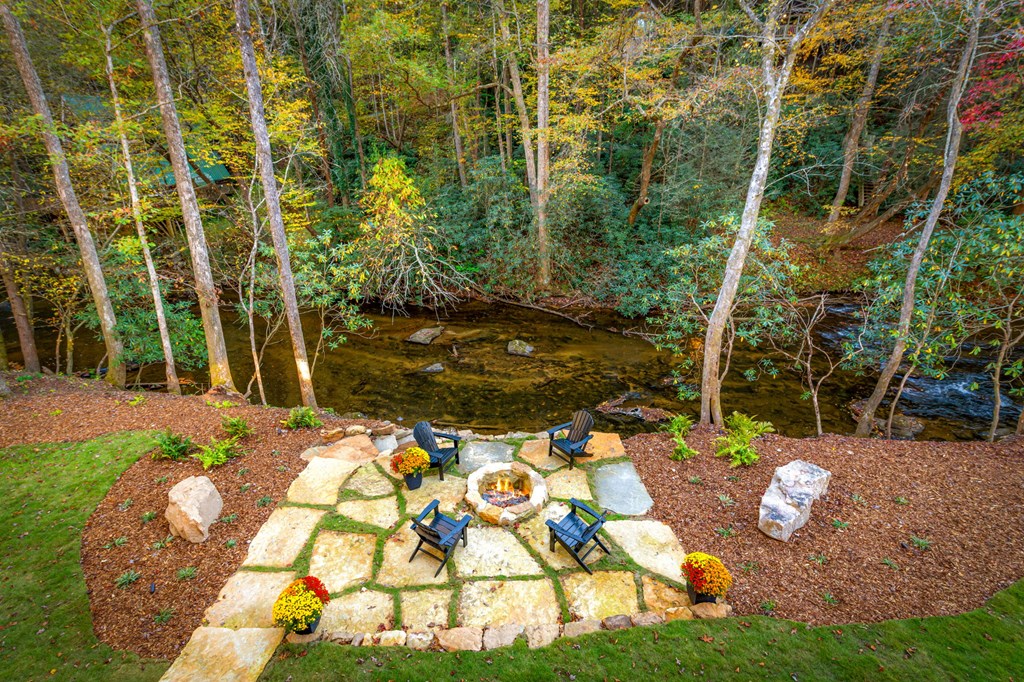 156 Horatio Drive Blue Ridge, GA 30513 - Photo 58 of 98