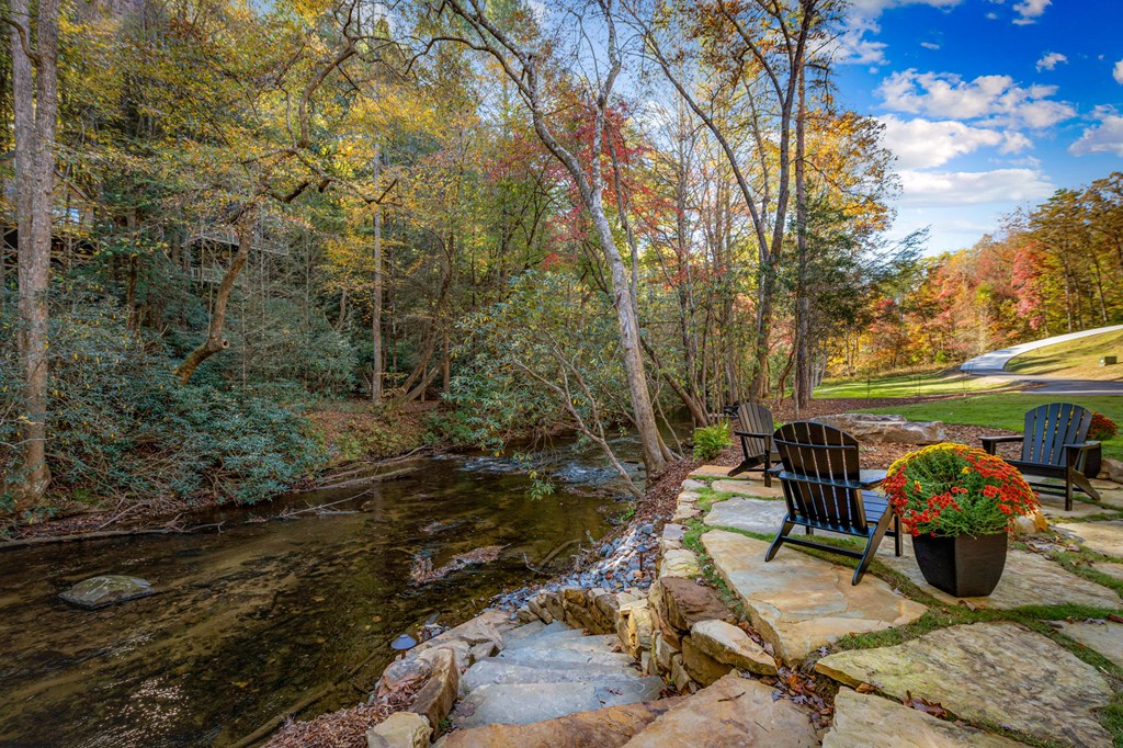 156 Horatio Drive Blue Ridge, GA 30513 - Photo 60 of 98