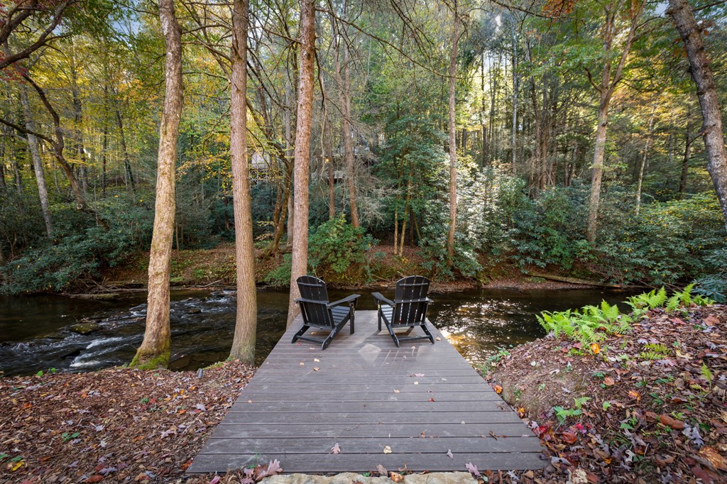 156 Horatio Drive Blue Ridge, GA 30513 - Photo 61 of 98