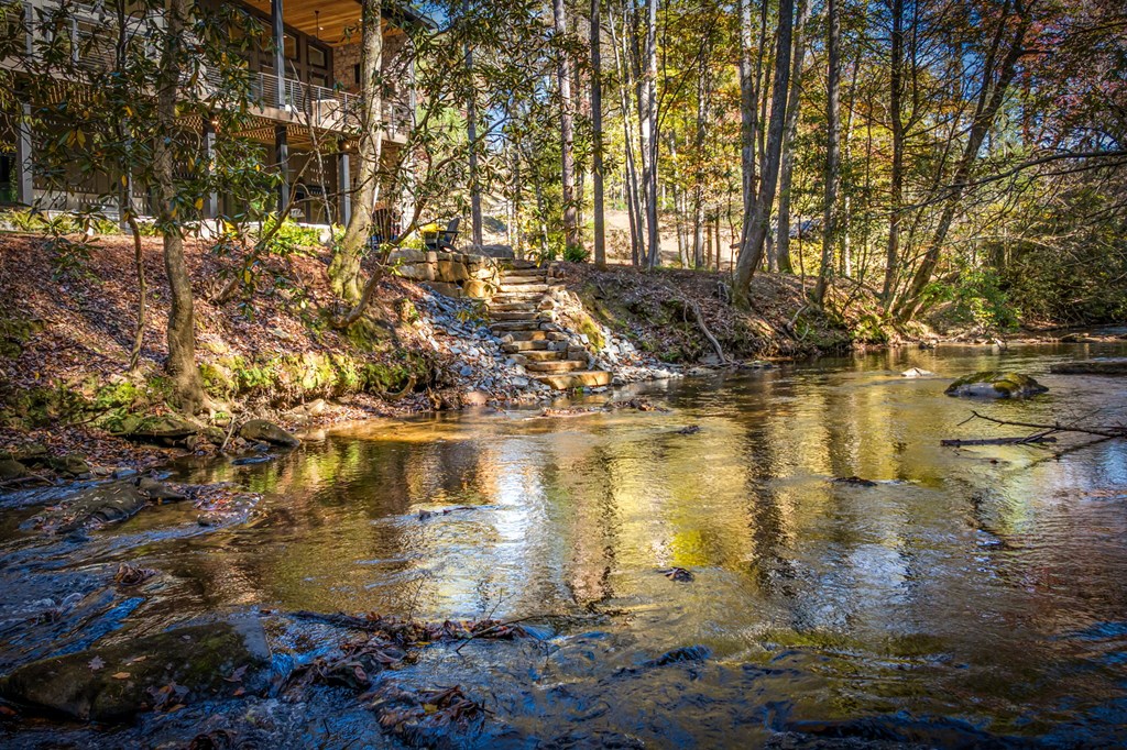 156 Horatio Drive Blue Ridge, GA 30513 - Photo 86 of 98