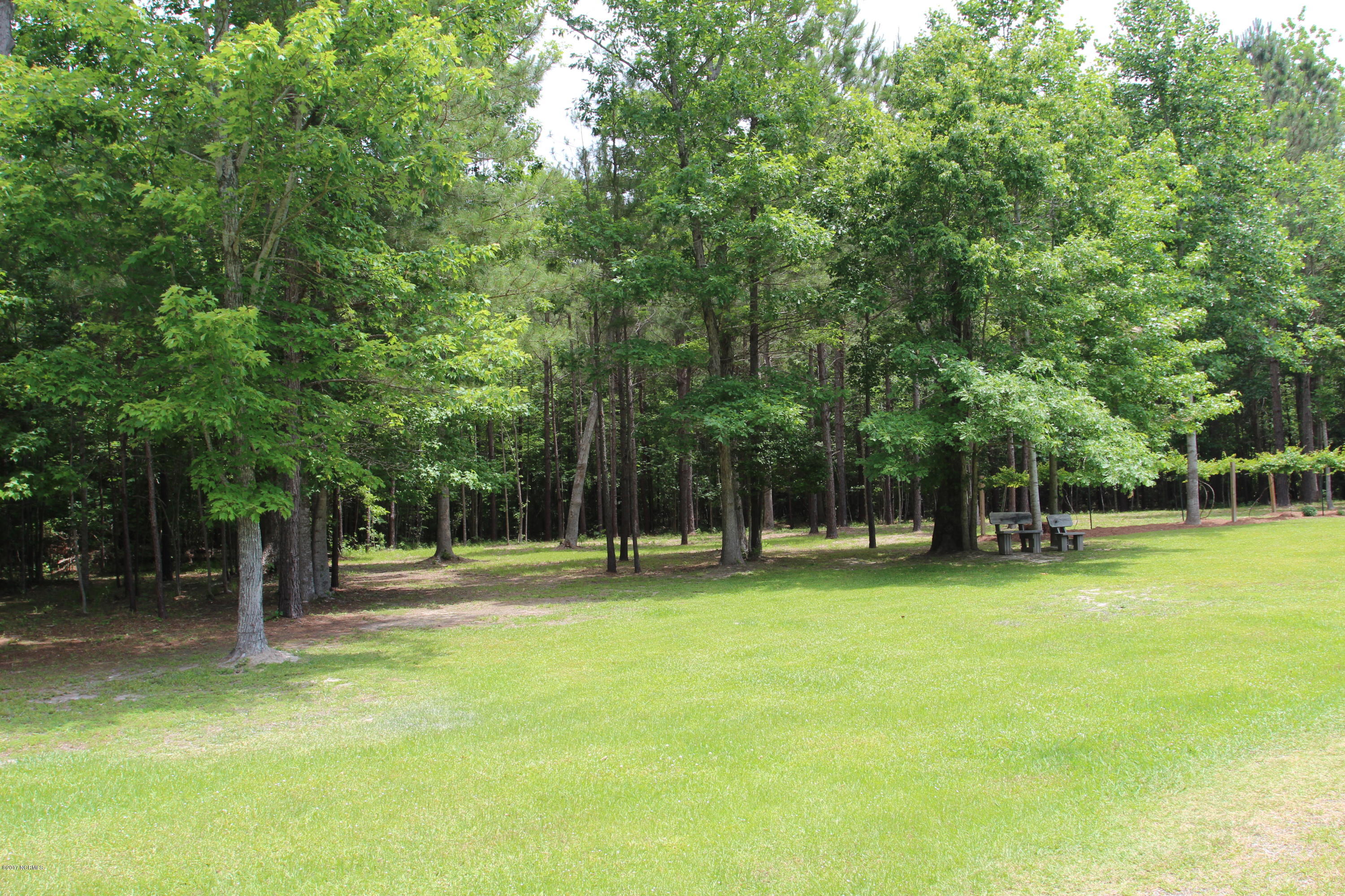 102 Deep Creek Road Chocowinity, NC 27817 - Photo 26 of 50 Stunning backyard