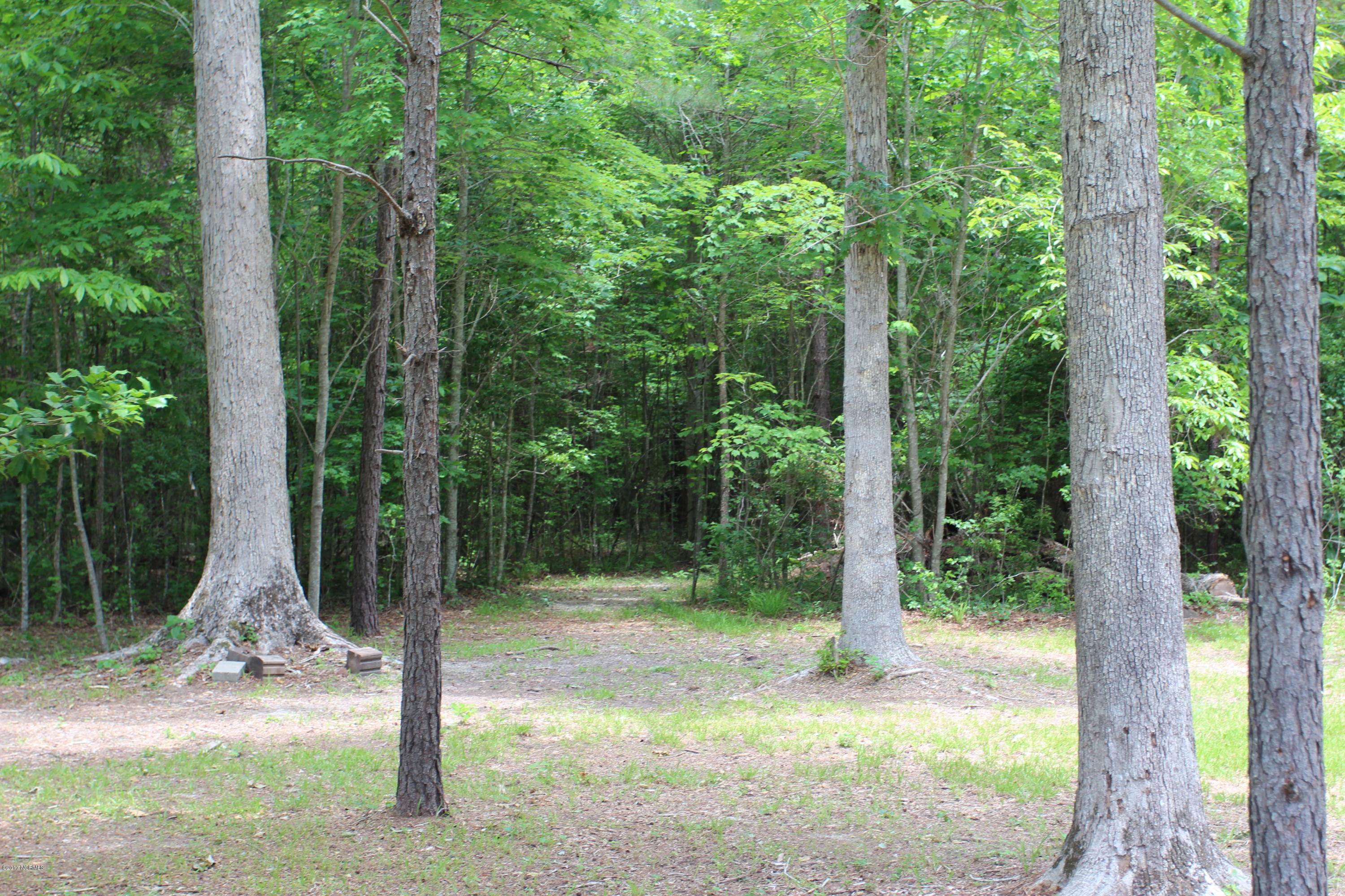 102 Deep Creek Road Chocowinity, NC 27817 - Photo 29 of 50 IMG_8399