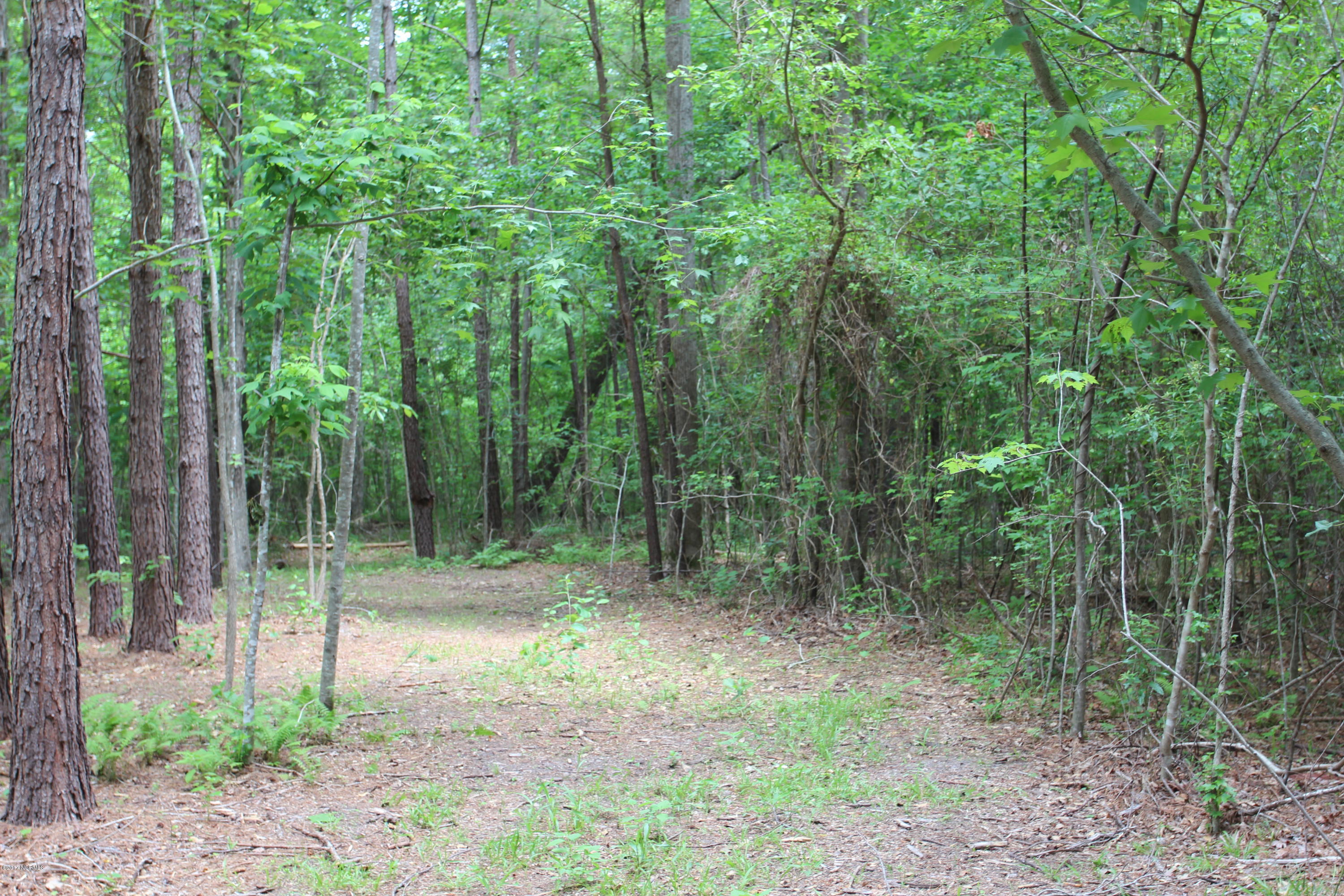 102 Deep Creek Road Chocowinity, NC 27817 - Photo 30 of 50 Paths to enjoy the 3 1/2 acres