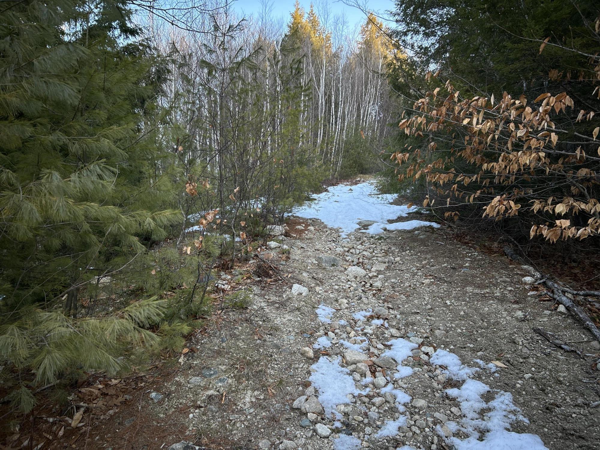 Map13-lot11 Field View Road Fryeburg, ME 04037 - Photo 8 of 37