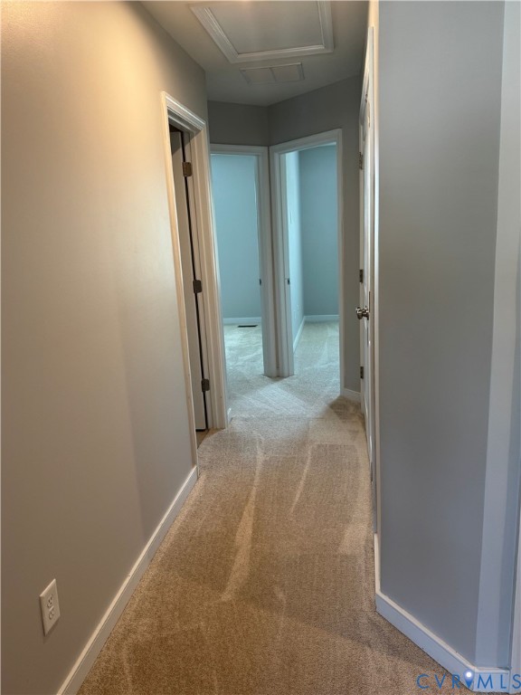 1944 Kennington Park Road Aylett, VA 23009 - Photo 14 of 24 Hallway featuring light gray walls, white trim, an