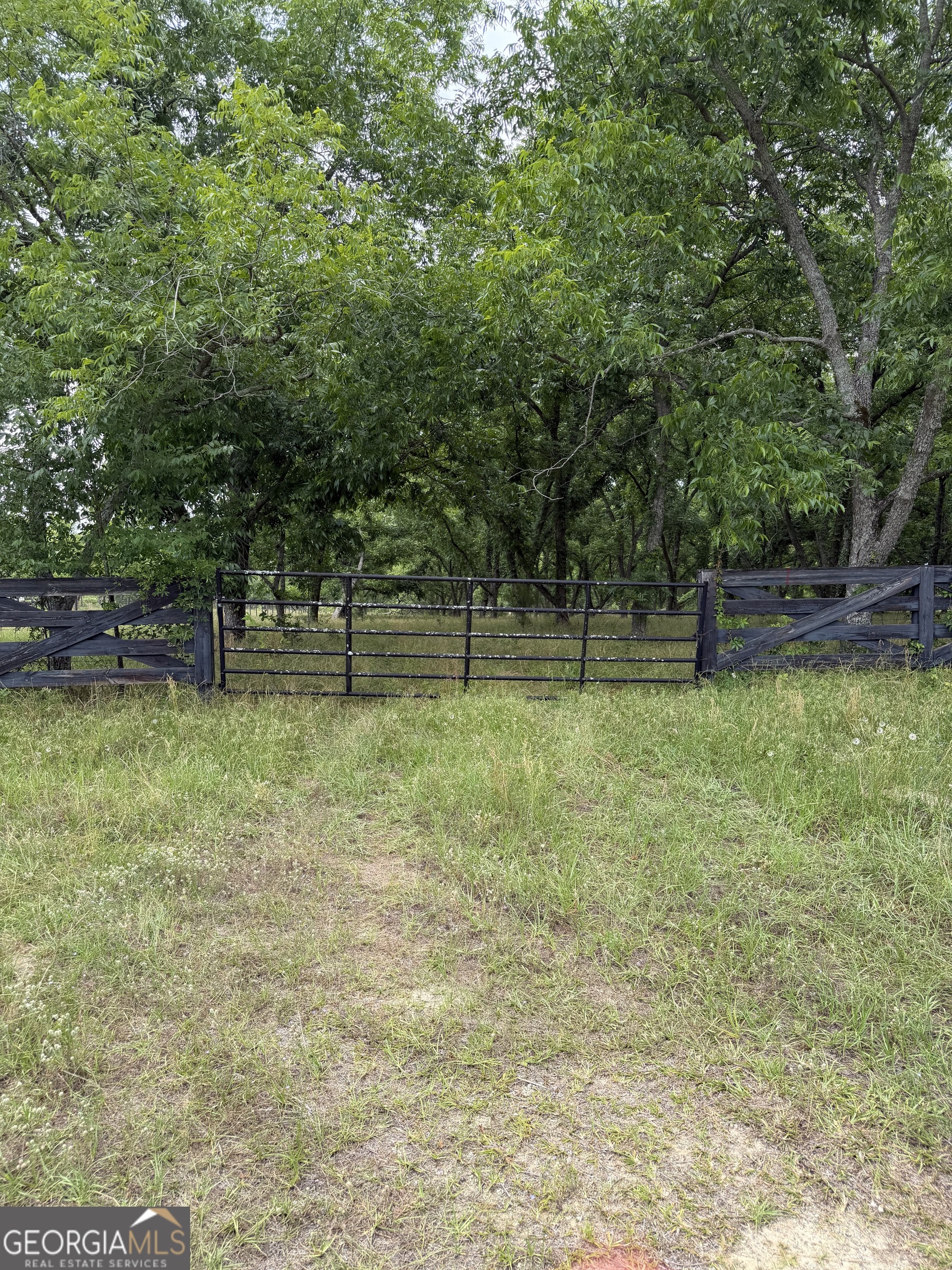 0 Tennille Harrison Road Tennille, GA 31089 - Photo 6 of 9 a view of empty yard with wooden fence