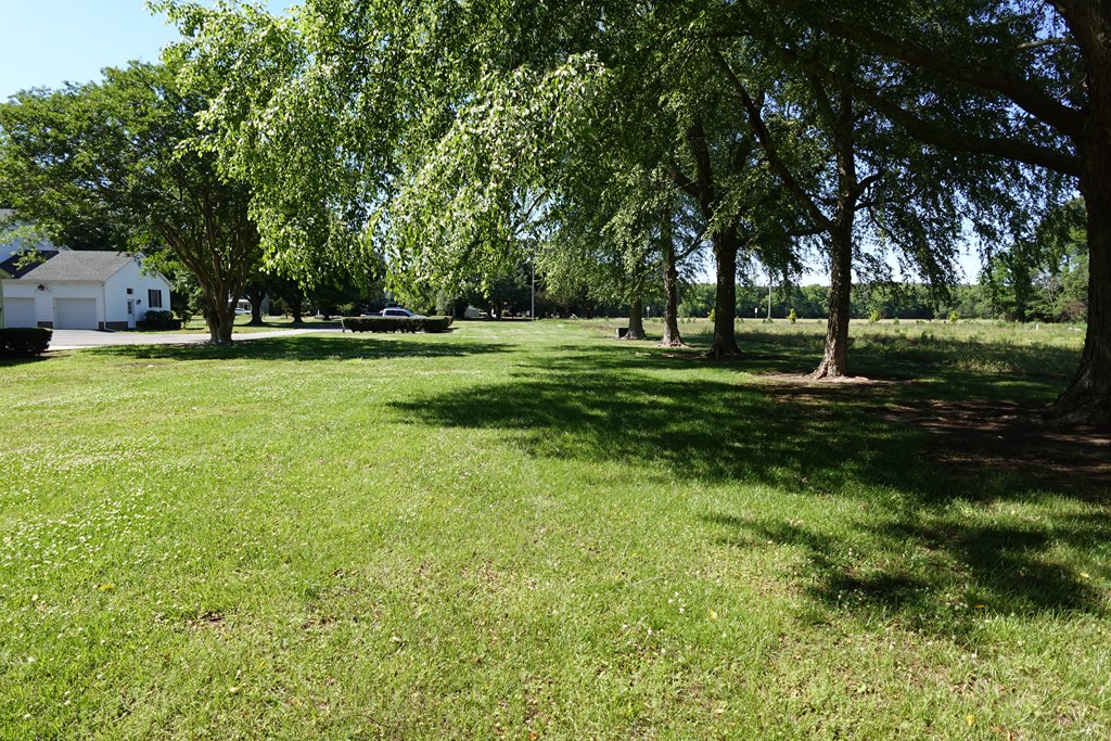 7303 Bayside Road Franktown, VA 23354 - Photo 61 of 85