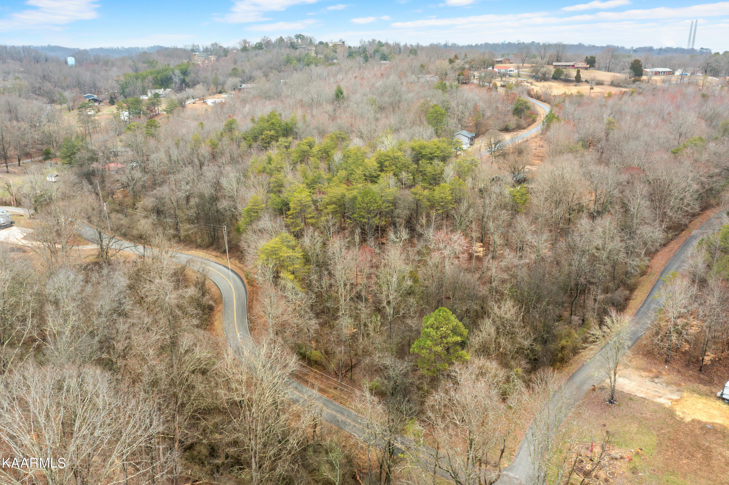 Bluff Road Harriman, TN 37748 - Photo 6 of 7 Bluff Road- Jan Williams-16
