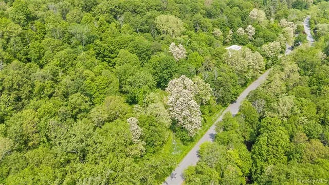 $550,000 | 0 Mill Road, Millerton, NY 12546