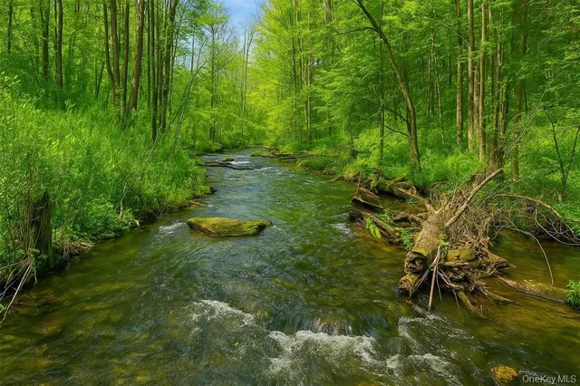 $550,000 | 0 Mill Road, Millerton, NY 12546