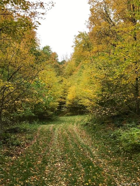 0 Mill Road Millerton, NY 12546 - Photo 2 of 13 a view of a large yard with a large tree