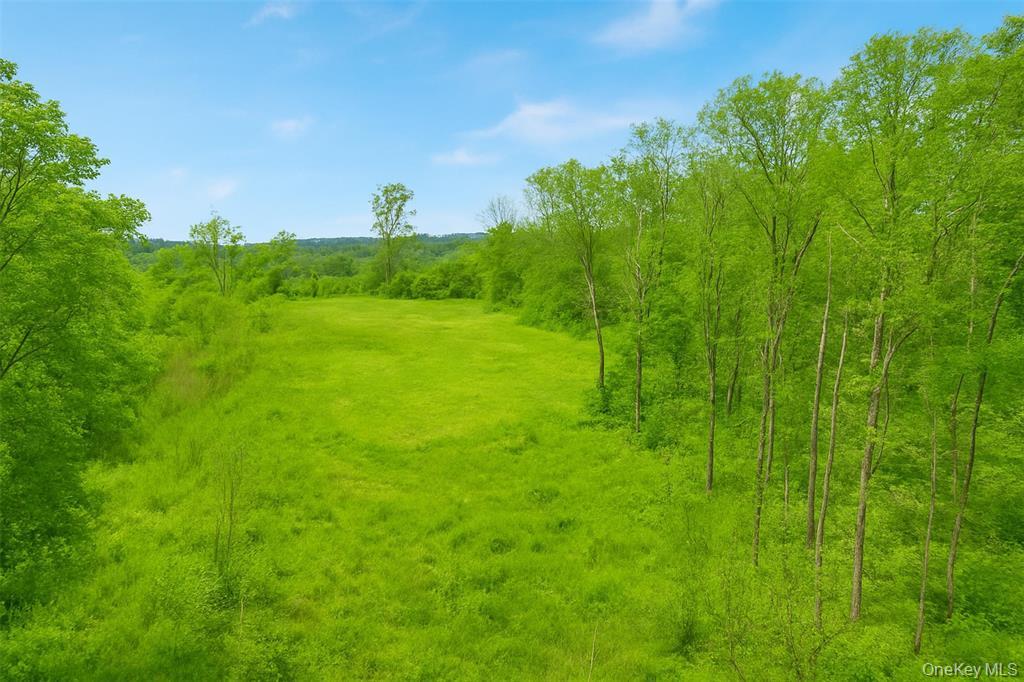 0 Mill Road Millerton, NY 12546 - Photo 4 of 13 a view of a lush green space