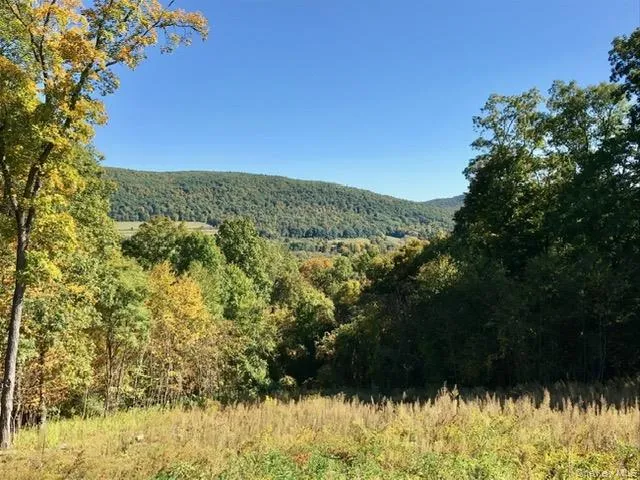 a view of a lush green forest with a sink and a yard