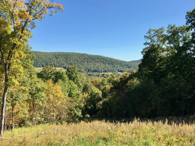 0 Mill Road Millerton, NY 12546 - Photo 7 of 13