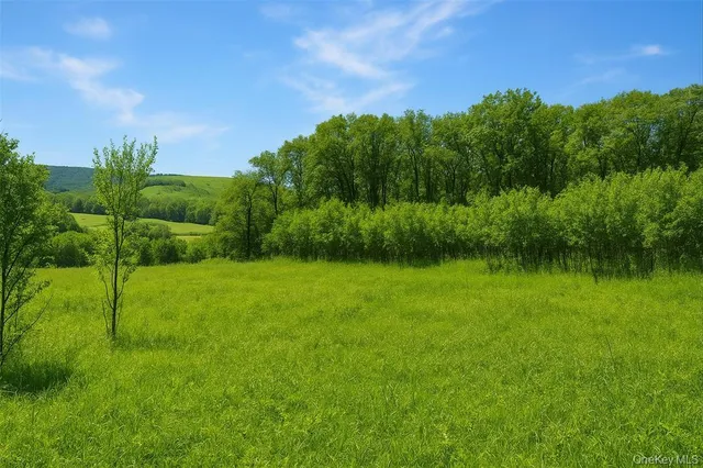 a view of a green field with lots of bushes