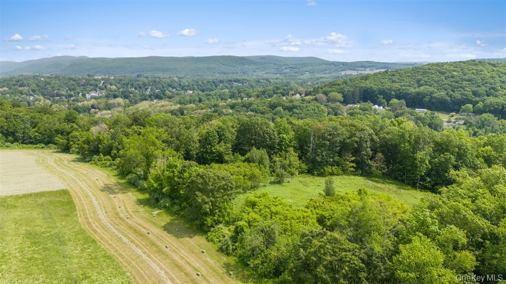 0 Mill Road Millerton, NY 12546 - Photo 9 of 13 a view of a lush green forest with a sink and a yard