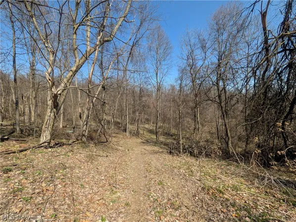 $99,900 | 289 Township Road, Salineville, OH 43945
