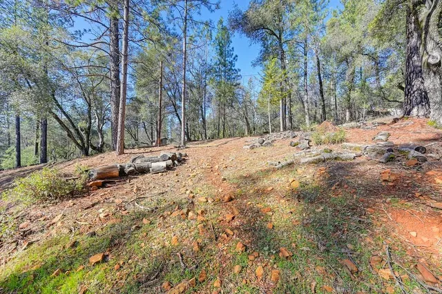 a view of a yard with large trees